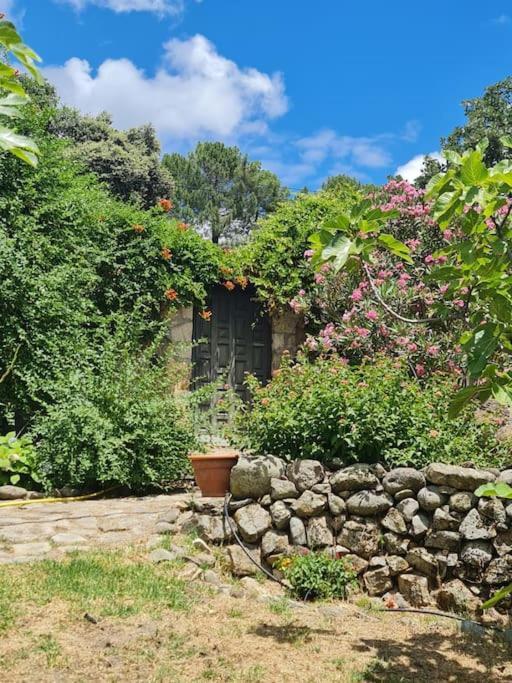 Casa Rural En Candeleda Con Piscina Y Un Maravilloso Jardin Exteriér fotografie