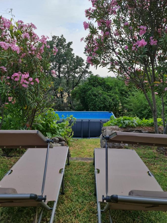 Casa Rural En Candeleda Con Piscina Y Un Maravilloso Jardin Exteriér fotografie