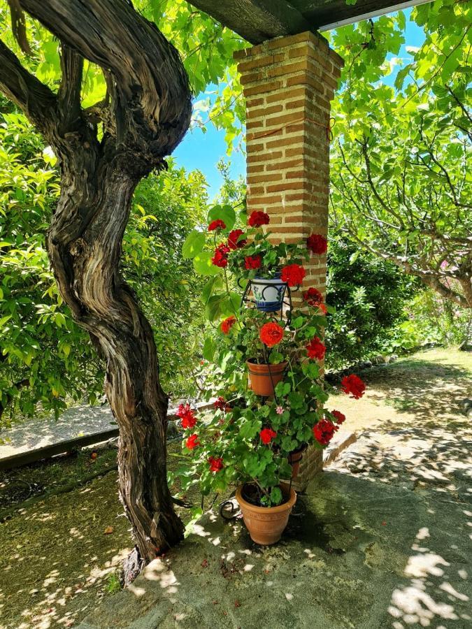 Casa Rural En Candeleda Con Piscina Y Un Maravilloso Jardin Exteriér fotografie