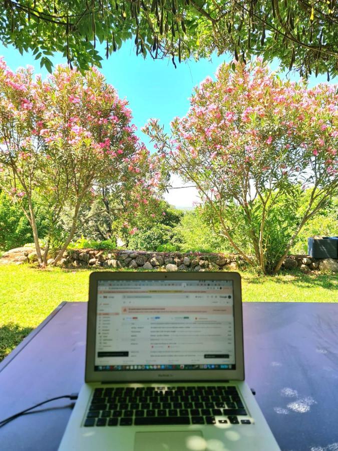 Casa Rural En Candeleda Con Piscina Y Un Maravilloso Jardin Exteriér fotografie