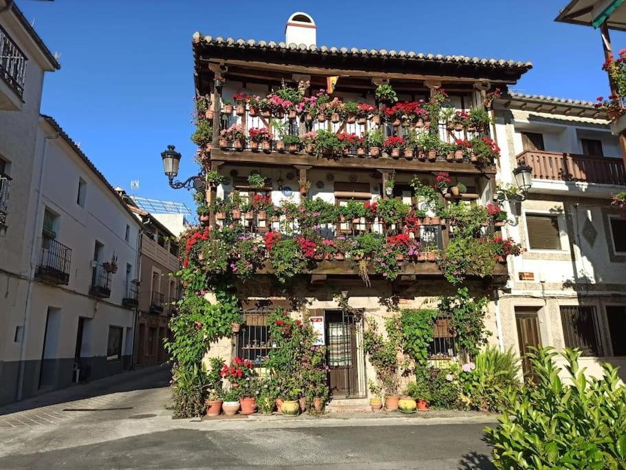 Casa Rural En Candeleda Con Piscina Y Un Maravilloso Jardin Exteriér fotografie