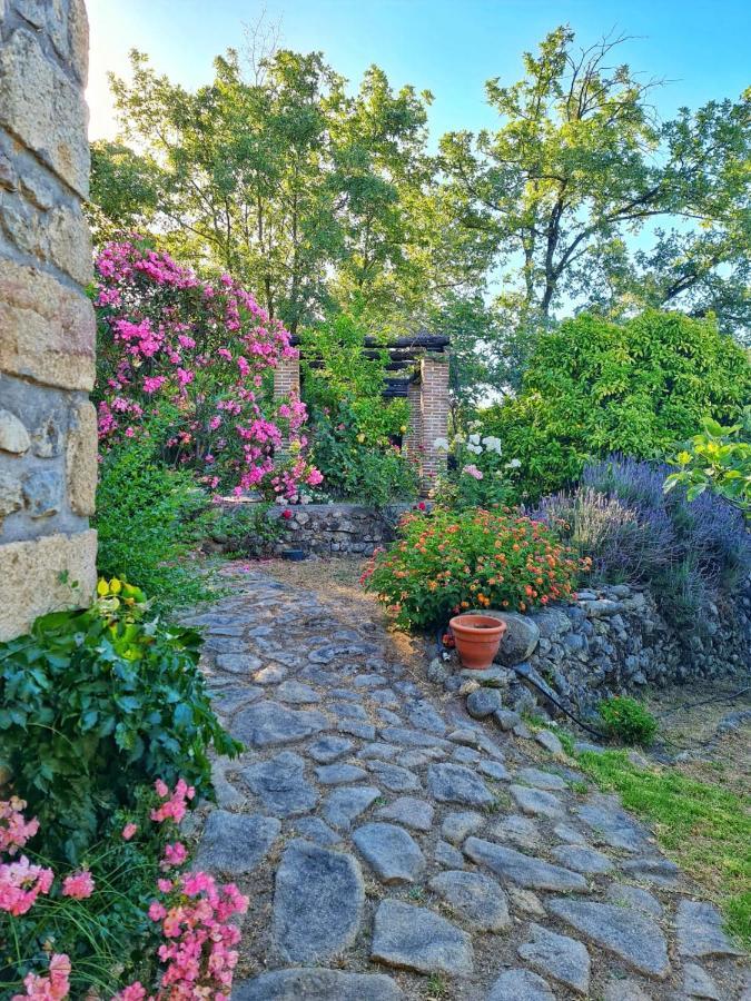 Casa Rural En Candeleda Con Piscina Y Un Maravilloso Jardin Exteriér fotografie