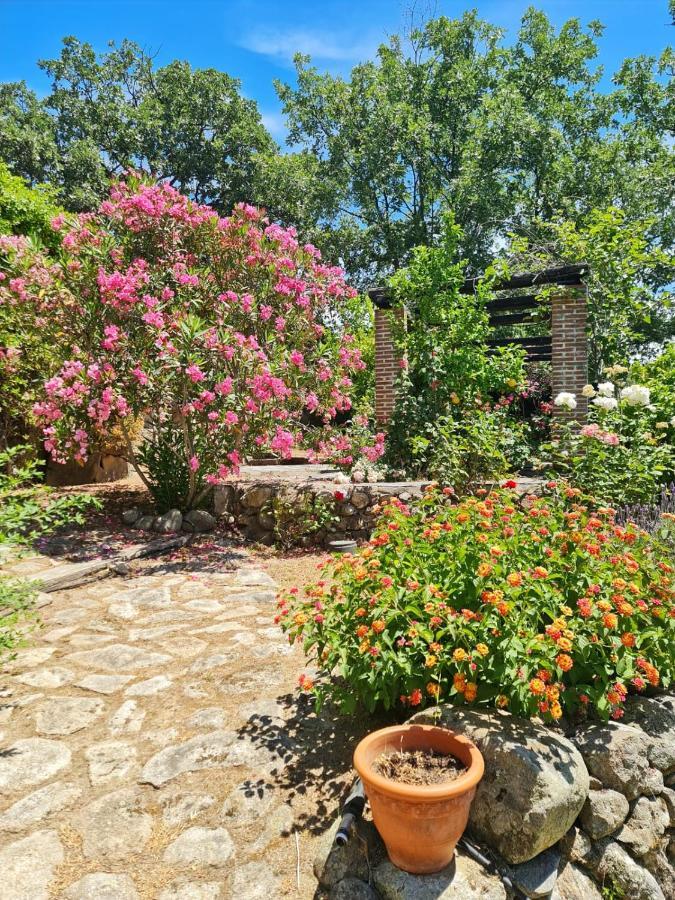 Casa Rural En Candeleda Con Piscina Y Un Maravilloso Jardin Exteriér fotografie