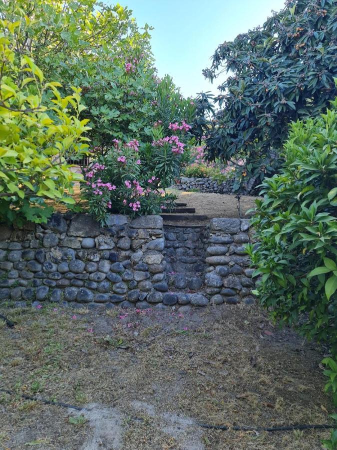 Casa Rural En Candeleda Con Piscina Y Un Maravilloso Jardin Exteriér fotografie