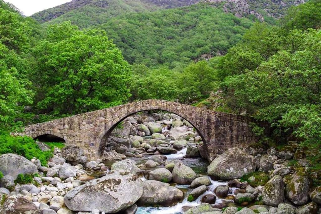 Casa Rural En Candeleda Con Piscina Y Un Maravilloso Jardin Exteriér fotografie