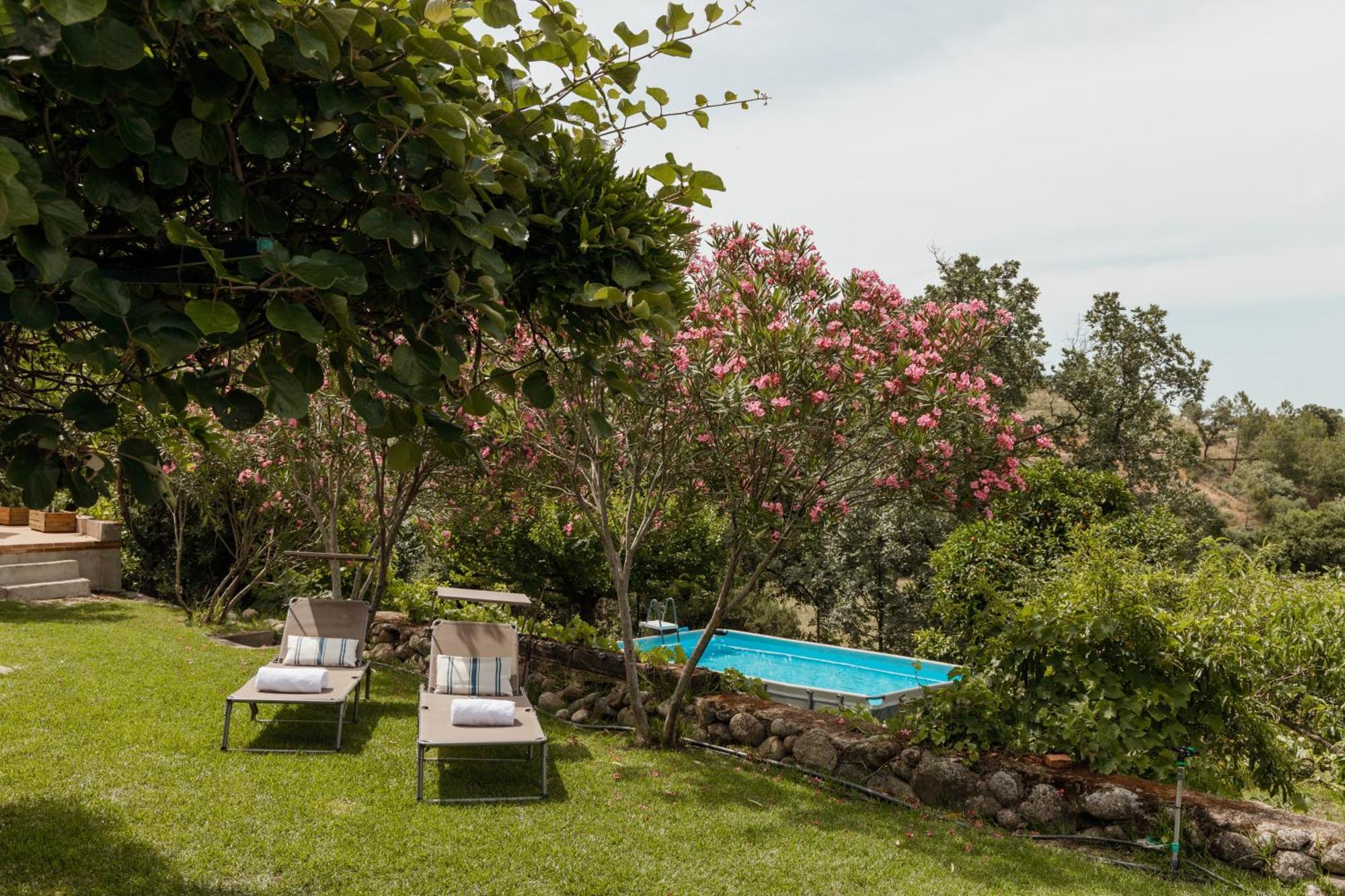 Casa Rural En Candeleda Con Piscina Y Un Maravilloso Jardin Exteriér fotografie
