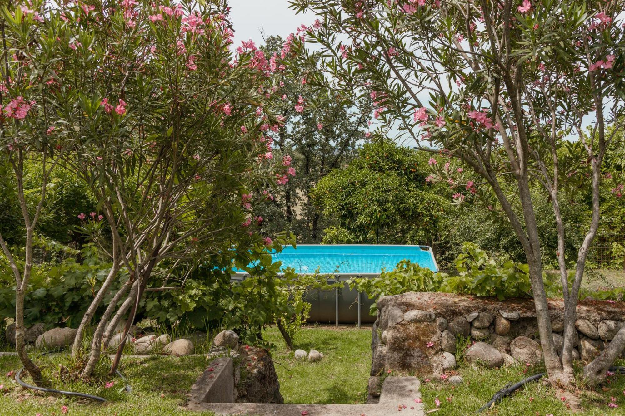Casa Rural En Candeleda Con Piscina Y Un Maravilloso Jardin Exteriér fotografie