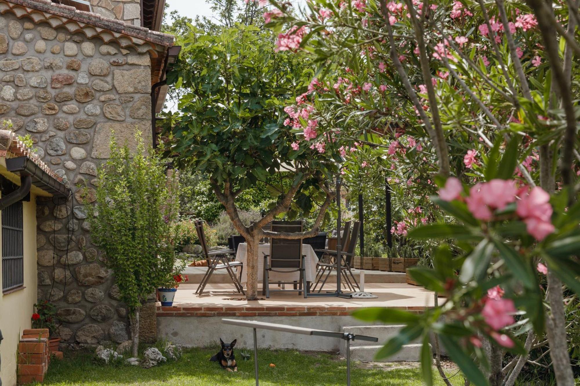 Casa Rural En Candeleda Con Piscina Y Un Maravilloso Jardin Exteriér fotografie